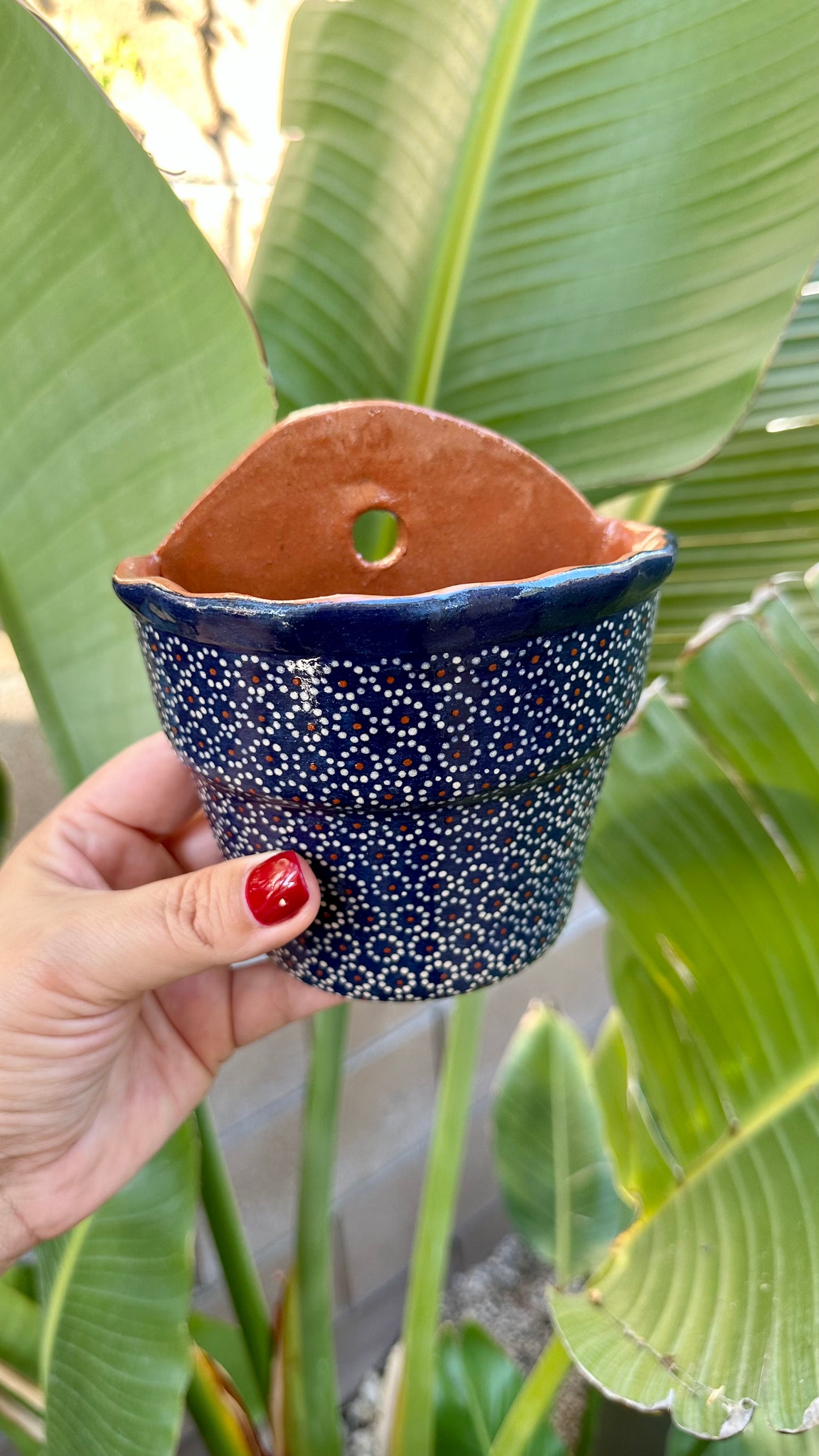 Lily Clay Wall Planter