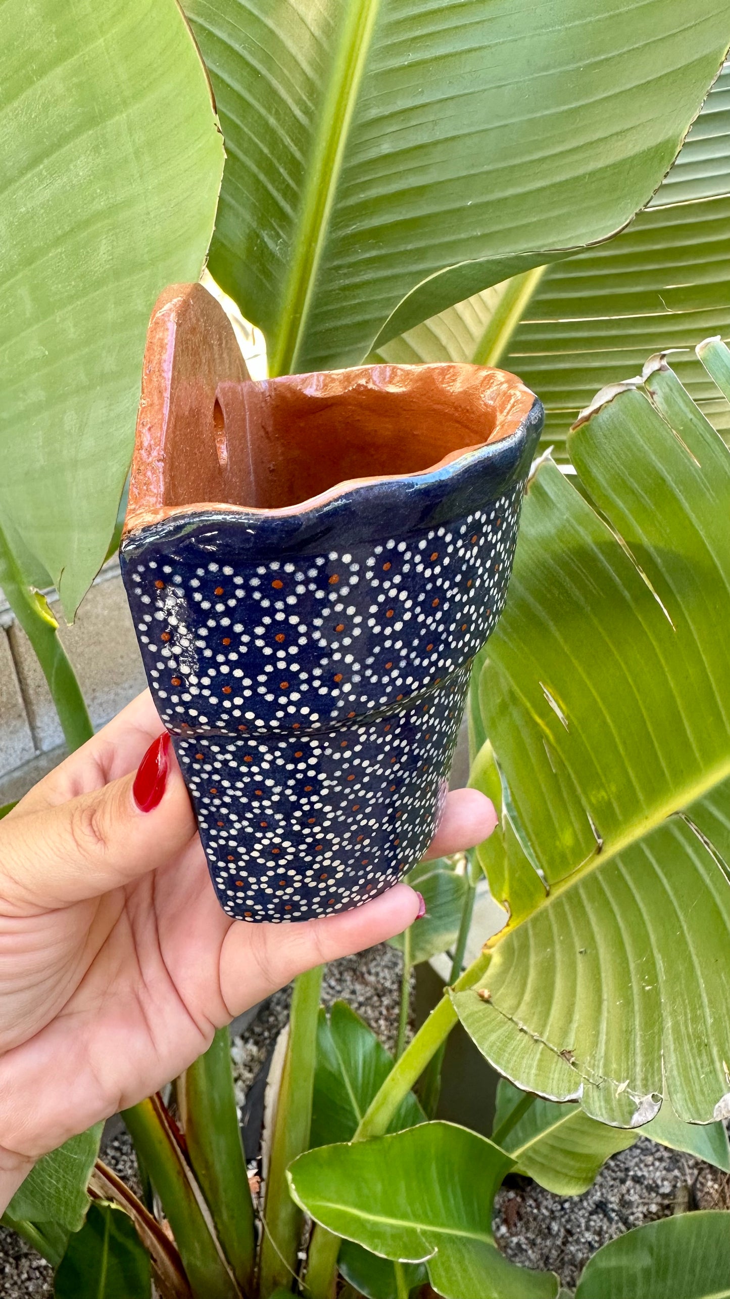 Lily Clay Wall Planter