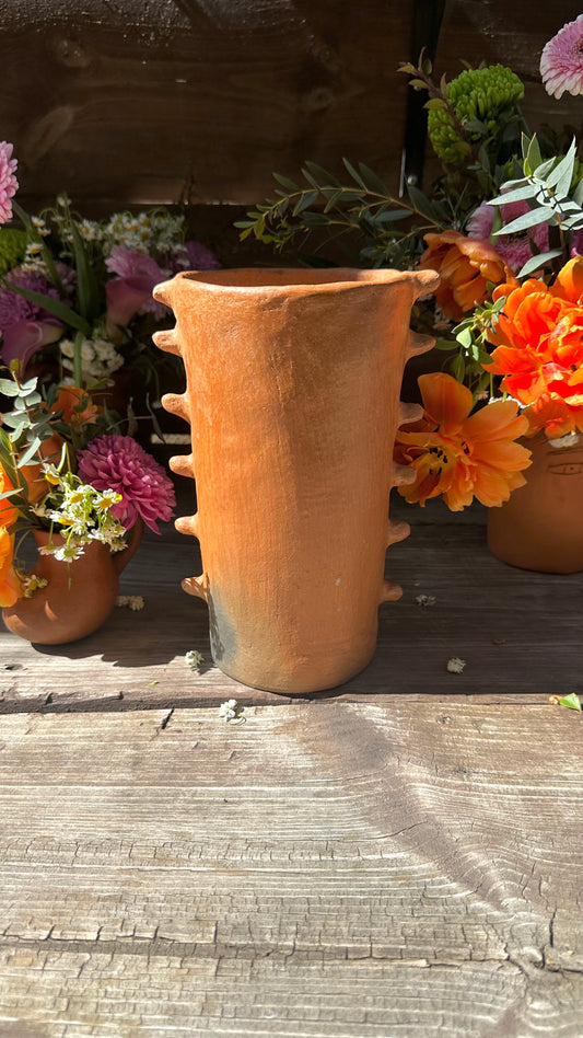Ana Maria Clay Vase