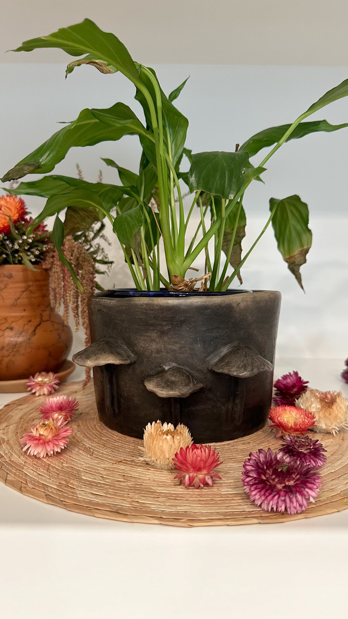 Abelia Mushroom Clay Pot