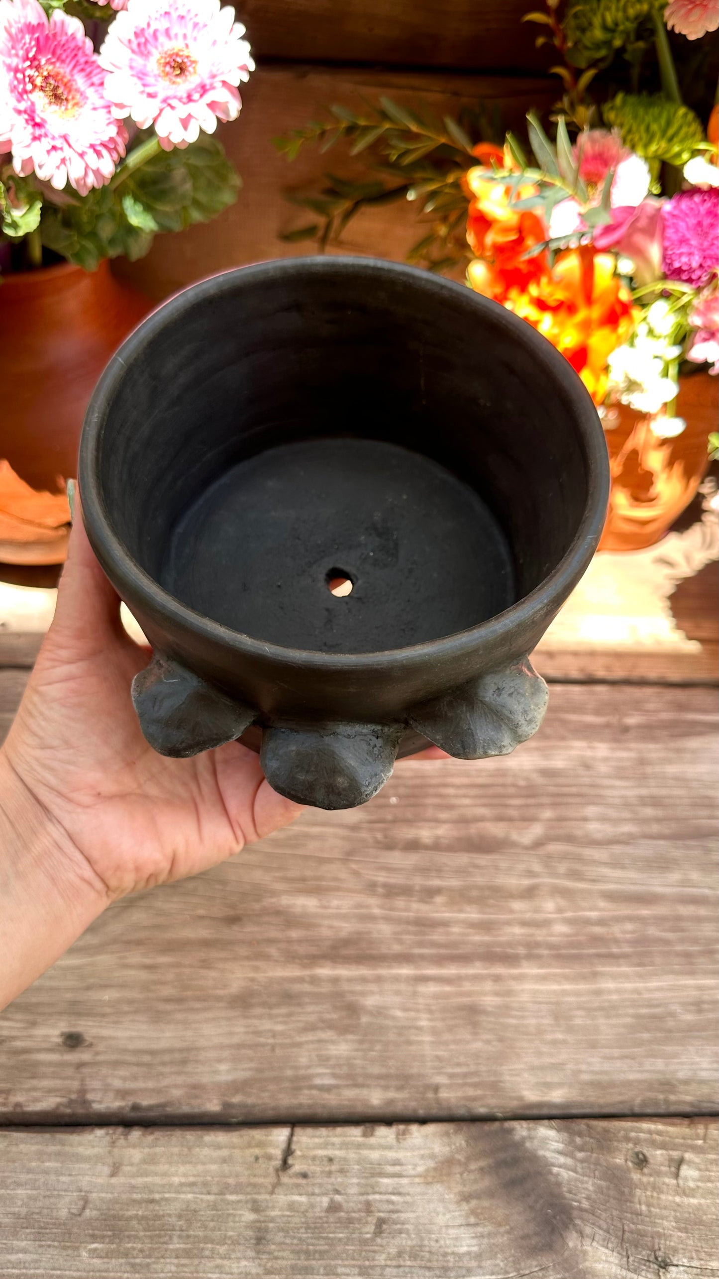 Abelia Mushroom Clay Pot