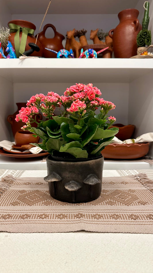 Abelia Mushroom Clay Pot